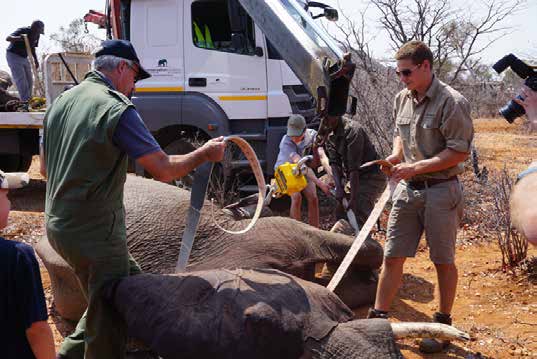 Conservation and Animal Tracking Experiences