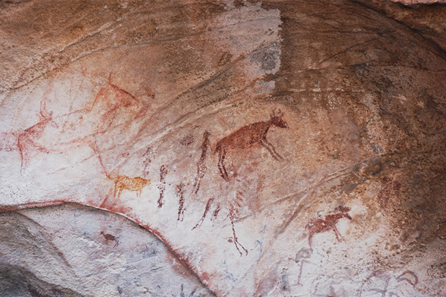 African World Heritage Site Tours