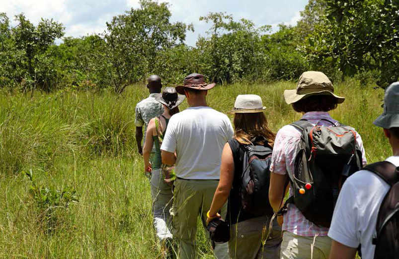 GAME DRIVES & WALKING SAFARIS