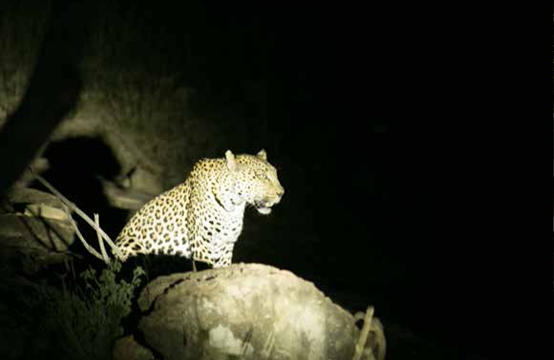 Get up close & personal