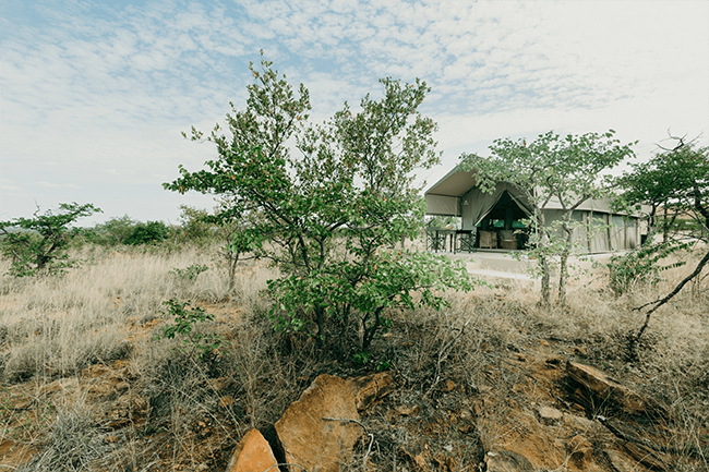 Glamping @ Mapesu Private Game Reserve